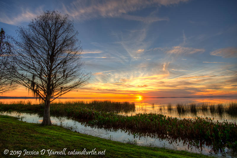 Sunset over Lake Apopka