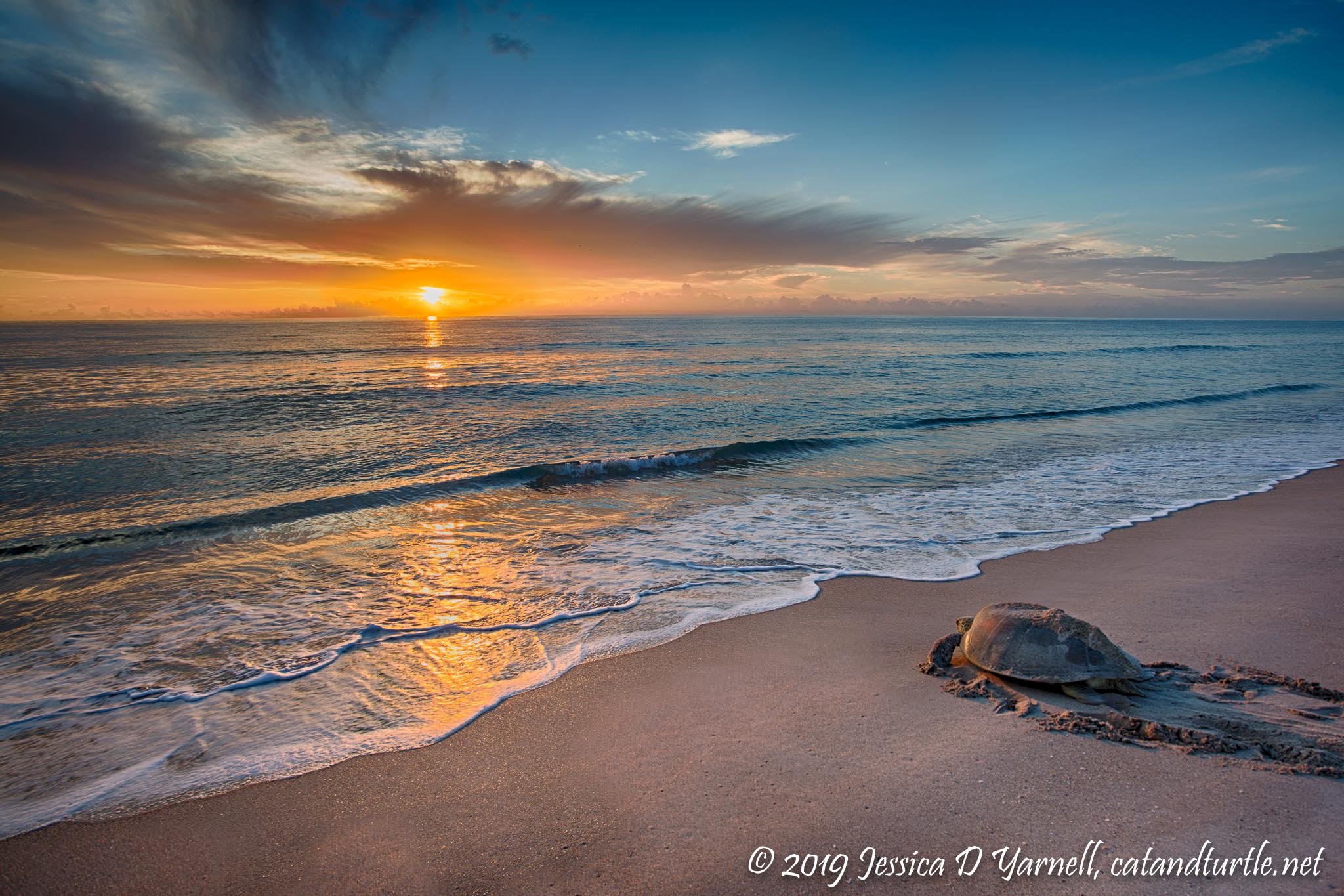 Sunrise Solitude