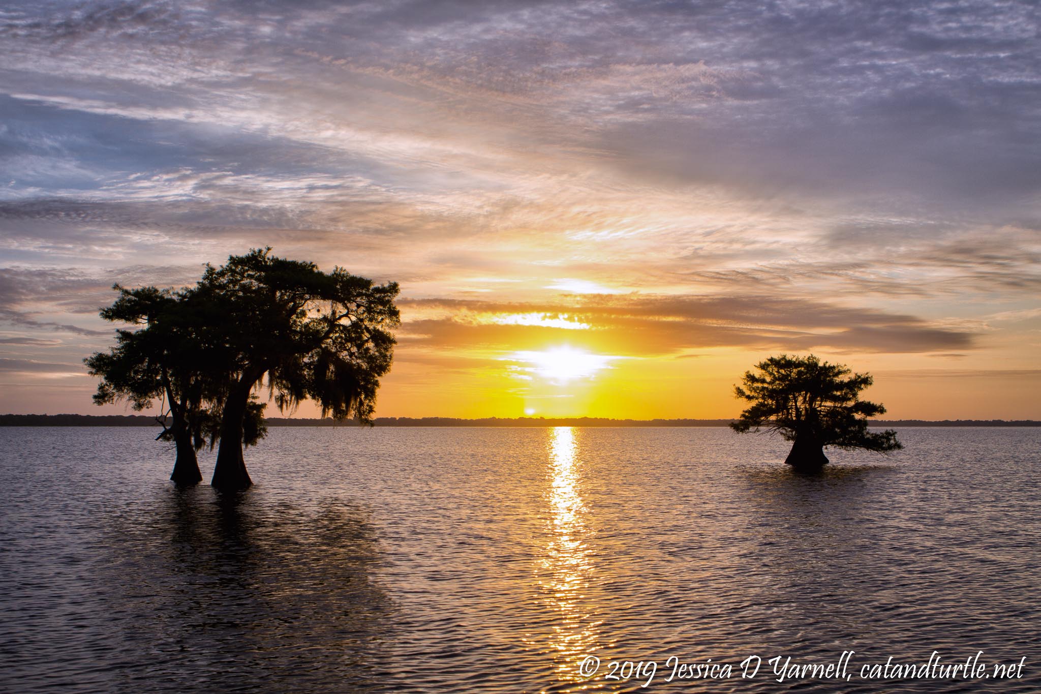 Sunrise over Blue Cypress Lake