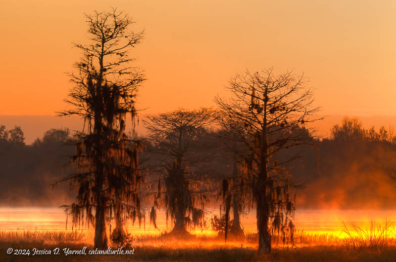 Sunrise