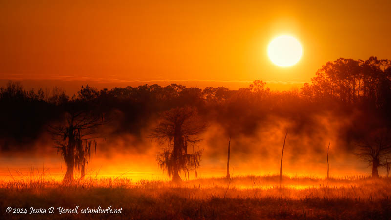 Sunrise